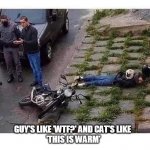 opportunist | GUY'S LIKE 'WTF?' AND CAT'S LIKE 
'THIS IS WARM' | image tagged in opportunist,lol,cats,pets,police,under arrest | made w/ Imgflip meme maker