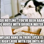 Snowflake Cruz | TEXAS DOGGIE HOTLINE - YOU'VE BEEN ABANDONED IN
A FREEZING HOUSE WITH BROKEN WATER PIPES?! OK SNOWFLAKE HANG IN THERE, SPCA IS IN ROUTE AND I'LL BE RIGHT HERE WITH YOU UNTIL HELP ARRIVES | image tagged in dog computer,snowflake,ted cruz,texas,texas freeze,dog | made w/ Imgflip meme maker