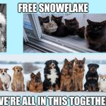 Free Snowflake | FREE SNOWFLAKE; WE'RE ALL IN THIS TOGETHER | image tagged in blank background,snowflake,texas,ted cruz,texas freeze storm,free snowflake | made w/ Imgflip meme maker