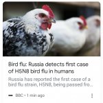russian birds