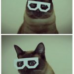 Shocked Cat in glasses meme