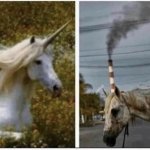 Unicorns