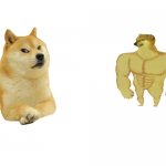 Doge vs buff cheems