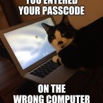 Cat forgot password | YOU ENTERED YOUR PASSCODE; ON THE WRONG COMPUTER | image tagged in cat forgot password | made w/ Imgflip meme maker