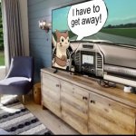 Furret Watching TV meme