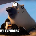 Corporal sniffs the penguins | ME; MY LAVENDERS | image tagged in corporal sniff the penguins,lavender | made w/ Imgflip meme maker