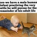 infant chasing pussy