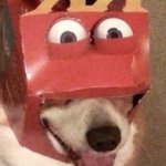 Corgi Happy meal