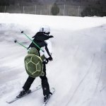 Skiing turtle