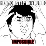 When You Step On Your Dog... | WHEN YOU STEP ON YOUR DOG; IMPOSSIBLE | image tagged in whaat | made w/ Imgflip meme maker