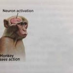 Neuron activation meme