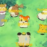 Hamtaro and the Gang | Shrek; Memes; Somebody once; Roll me; Was gonna; The world; Told me | image tagged in hamtaro and the gang,all star,shrek,hamtaro,anime,tms | made w/ Imgflip meme maker