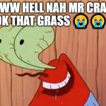 Spunch bop | AWW HELL NAH MR CRAP TOOK THAT GRASS 😭😭😭 | image tagged in mr krabs you don't say | made w/ Imgflip meme maker
