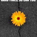 Be-you-tiful sunshine day | IF A FLOWER CAN FIND SUNLIGHT THROUGH HARD TIMES, SO CAN YOU! HAVE A BE-YOU-TIFUL SUNSHINE DAY! | image tagged in flower in concrete | made w/ Imgflip meme maker