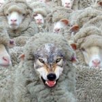 Wolf in sheep's clothing