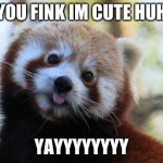 red panda | YOU FINK IM CUTE HUH; YAYYYYYYYY | image tagged in red panda | made w/ Imgflip meme maker