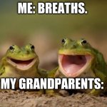 two happy frogs  | ME: BREATHS. MY GRANDPARENTS: | image tagged in two happy frogs | made w/ Imgflip meme maker