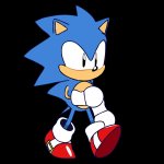 Sonic walking