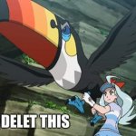 Toucannon delet this