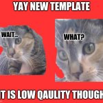 Wait...What? cat | YAY NEW TEMPLATE; IT IS LOW QAULITY THOUGH | image tagged in wait what cat | made w/ Imgflip meme maker