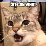 Knock knock | KNOCK KNOCK; WHO'S THERE; CAT CON; CAT CON WHO? CAT CONVERTER THEFT IS A MAJOR ISSUE AND MORE PEOPLE NEED TO KNOW ABOUT HOW TO GET PROTECTED WITH CAT SECURITY™ | image tagged in knock knock | made w/ Imgflip meme maker