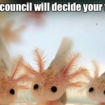 The axolotls will decide your fate meme