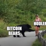 Bears | HODLERS; BITCOIN BEARS | image tagged in bears | made w/ Imgflip meme maker