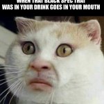 Cursed cat | WHEN THAT BLACK SPEC THAT WAS IN YOUR DRINK GOES IN YOUR MOUTH | image tagged in cursed cat | made w/ Imgflip meme maker