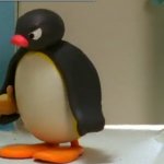 Angry Pingu