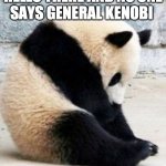 Sad Panda | WHEN YOU SAY HELLO THERE AND NO ONE SAYS GENERAL KENOBI | image tagged in sad panda | made w/ Imgflip meme maker