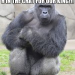 Daily Dose Of Harambe. day 1 | H FOR HARAMBE...
H IN THE CHAT FOR OUR KING!!! | image tagged in harambe | made w/ Imgflip meme maker