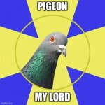 religion pigeon | PIGEON; MY LORD | image tagged in religion pigeon | made w/ Imgflip meme maker