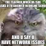 Angry Owl | THE TEACHER WHEN HE/SHE ASKS U TO ANSWER IN ONLINE SCHOL; AND U SAY U HAVE NETWORK ISSUES | image tagged in angry owl | made w/ Imgflip meme maker
