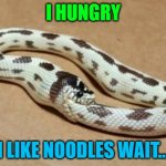 Snake Eating Itself | I HUNGRY; I LIKE NOODLES WAIT... | image tagged in snake eating itself | made w/ Imgflip meme maker