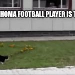 Oklahoma football player | THE OKLAHOMA FOOTBALL PLAYER IS THE DOG | image tagged in gifs,fight | made w/ Imgflip video-to-gif maker