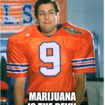 Bobby Boucher | BUT MAMA SAYS; MARIJUANA IS THE DEVIL | image tagged in bobby boucher | made w/ Imgflip meme maker