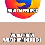 firefox | YOU KNOW,I DID SORTA NEED THIS SIMPLIFICATION; NOW I’M PERFECT; WE ALL KNOW WHAT HAPPENED NEXT | image tagged in firefox | made w/ Imgflip meme maker