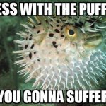 mess with the puffer, gonna suffer | image tagged in puffer fish,memes,mess with the puffer your gonna suffer,suffering | made w/ Imgflip meme maker