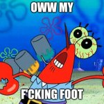 oww my [dolphin noise] foot | OWW MY; F'CKING FOOT | image tagged in oww my dolphin noise foot | made w/ Imgflip meme maker