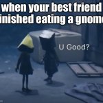 when your best fiend finished eating a gnome | when your best friend finished eating a gnome | image tagged in mono u good | made w/ Imgflip meme maker
