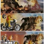 Godzilla Vs King Kong vs Doge vs buff Doge vs Tom meme