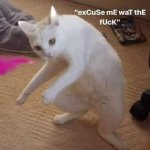 "excuse me wat the f*ck