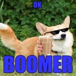 OK BOOMER | OK; BOOMER | image tagged in ok boomer corgi | made w/ Imgflip meme maker