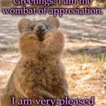 Crazy Wombat | Greetings! I am the wombat of appreciation. I am very pleased with your work!! | image tagged in crazy wombat | made w/ Imgflip meme maker