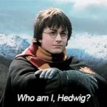 Who am I hedwig meme