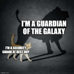 Phone security guard | I'M A GUARDIAN OF THE GALAXY; I'M A SECURITY GUARD AT BEST BUY | image tagged in cat shadow | made w/ Imgflip meme maker