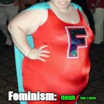 The definitive definition. | Feminism:; noun; fem·​i·​nism; THE MEDICAL CONDITION WHERE YOUR BODY HAS MORE FOLDS THAN YOUR BRAIN | image tagged in super feminist | made w/ Imgflip meme maker