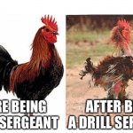 before and after marriage | AFTER BEING A DRILL SERGEANT; BEFORE BEING A DRILL SERGEANT | image tagged in before and after marriage | made w/ Imgflip meme maker