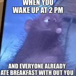 ratatouille | WHEN YOU WAKE UP AT 2 PM; AND EVERYONE ALREADY ATE BREAKFAST WITH OUT YOU | image tagged in ratatouille,sleep | made w/ Imgflip meme maker