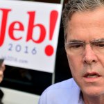 Jeb Bush Confused